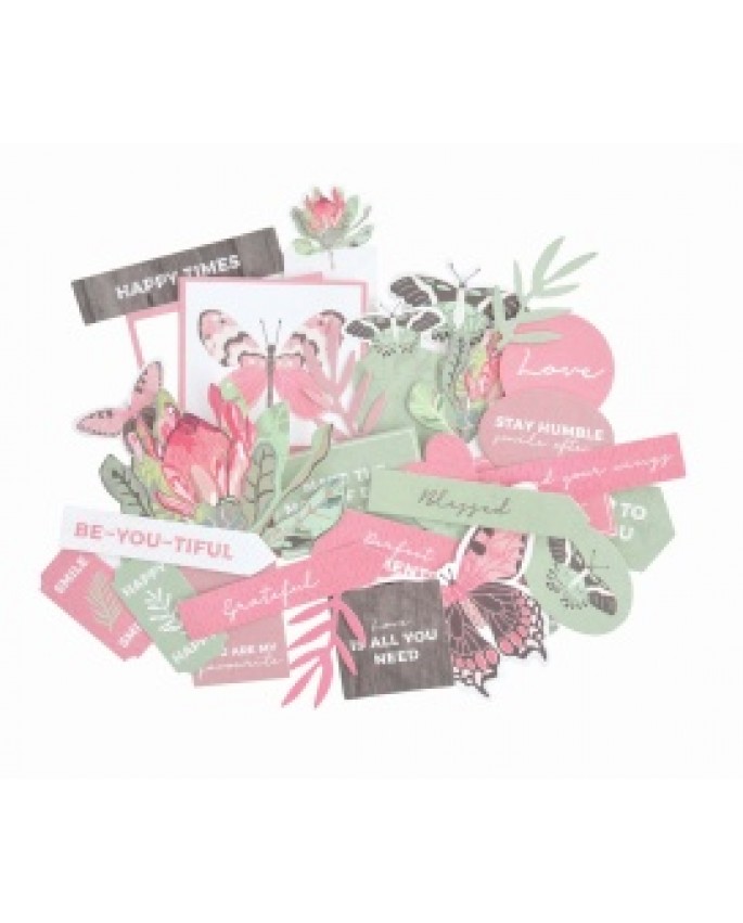 Flowering Natives Collectables