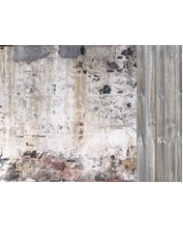 Backyard Fence P2303