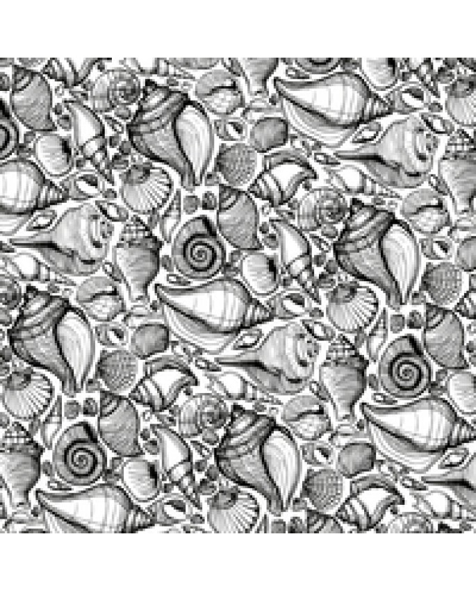 Sea Shells PS443