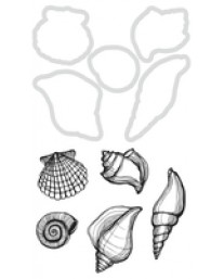 Seashells *