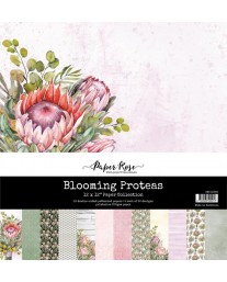 Blooming Proteas